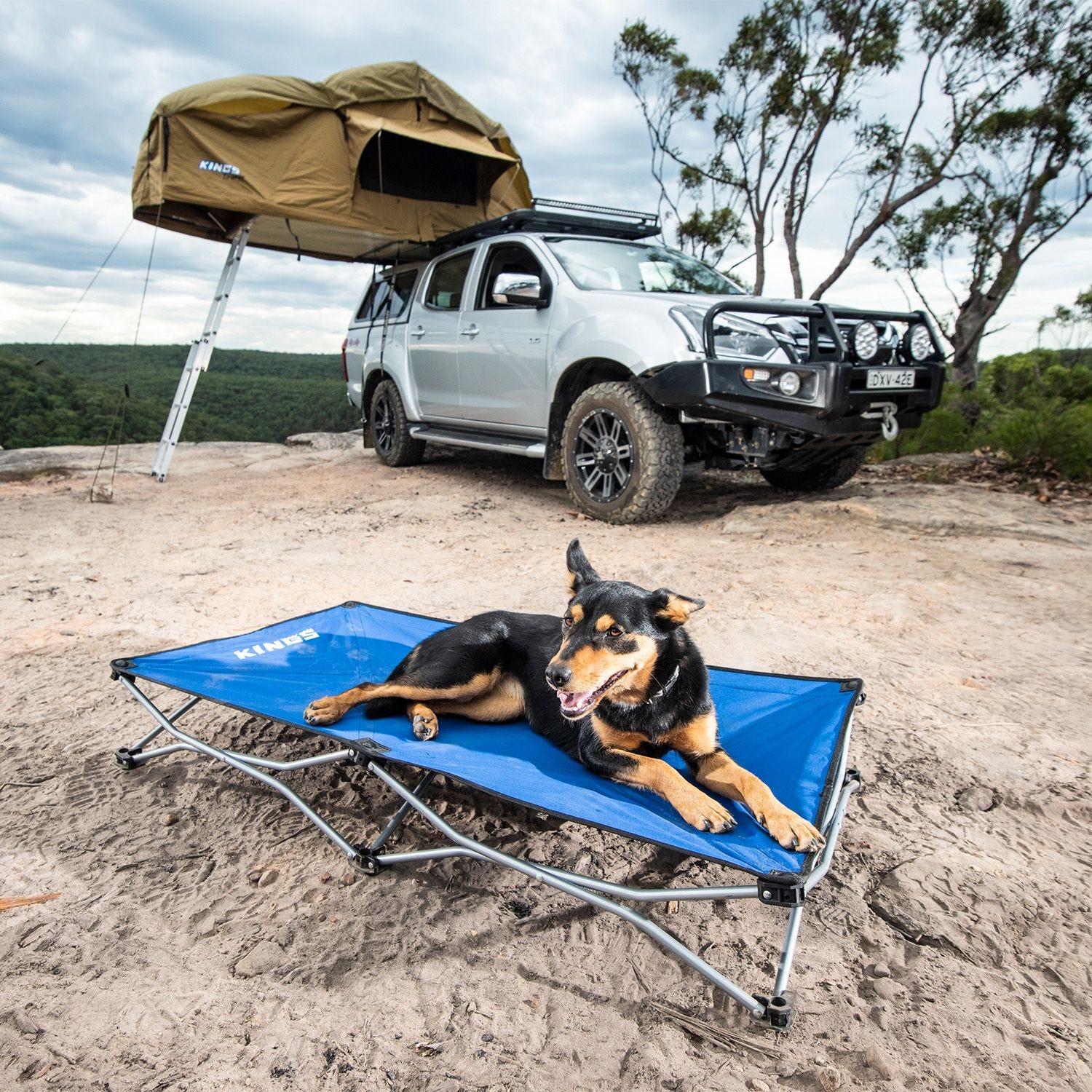 Dog stretcher bed online