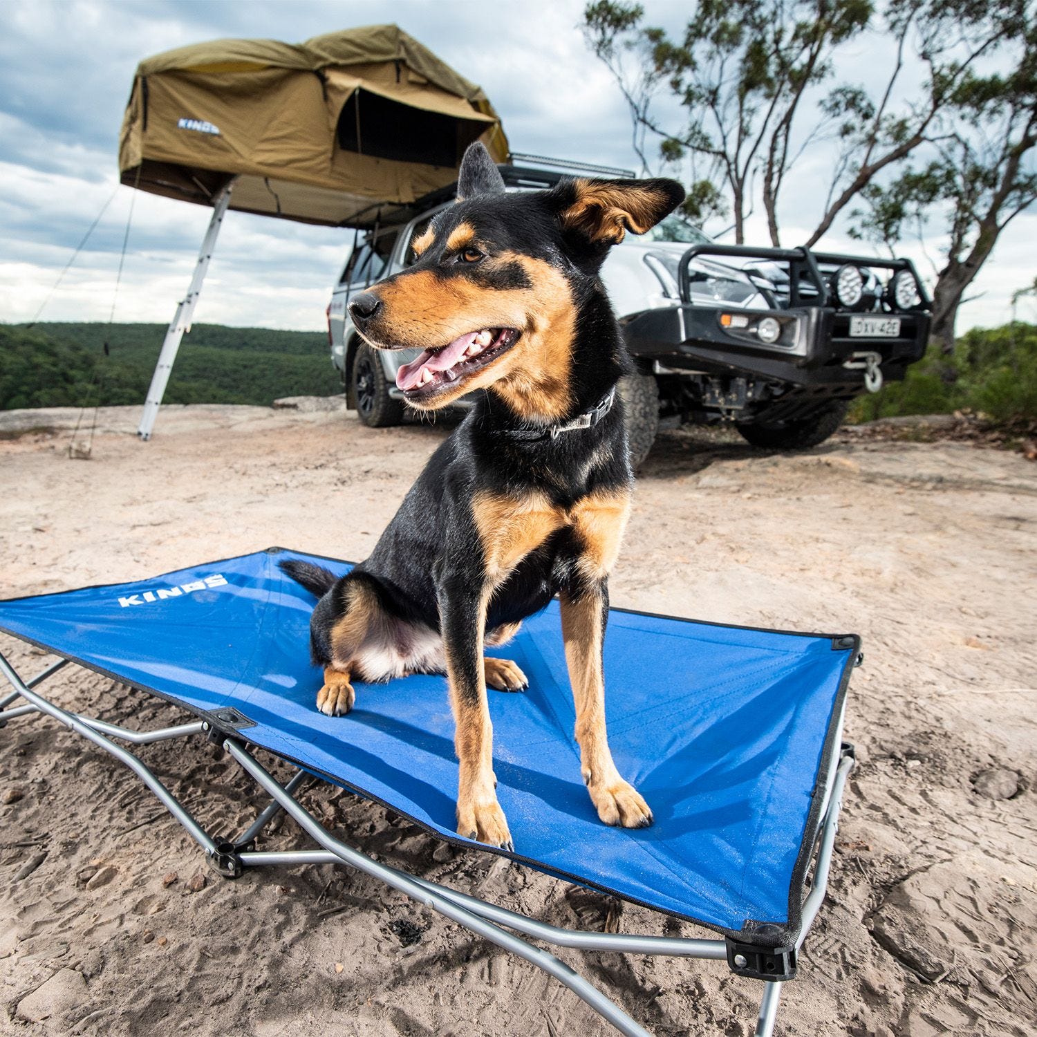 Kings Folding Pet Bed Outdoor Products Australia