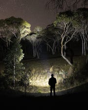Kings Plus Lithium Rechargeable Torch | High-Performance LED | White and Amber Flood Lights |Up to 650 LUMENS | Magnetic Base 