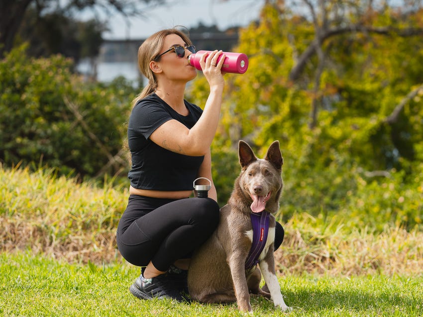 Kings Pink Water Bottle | 750ml | Double Insulated Stainless Steel