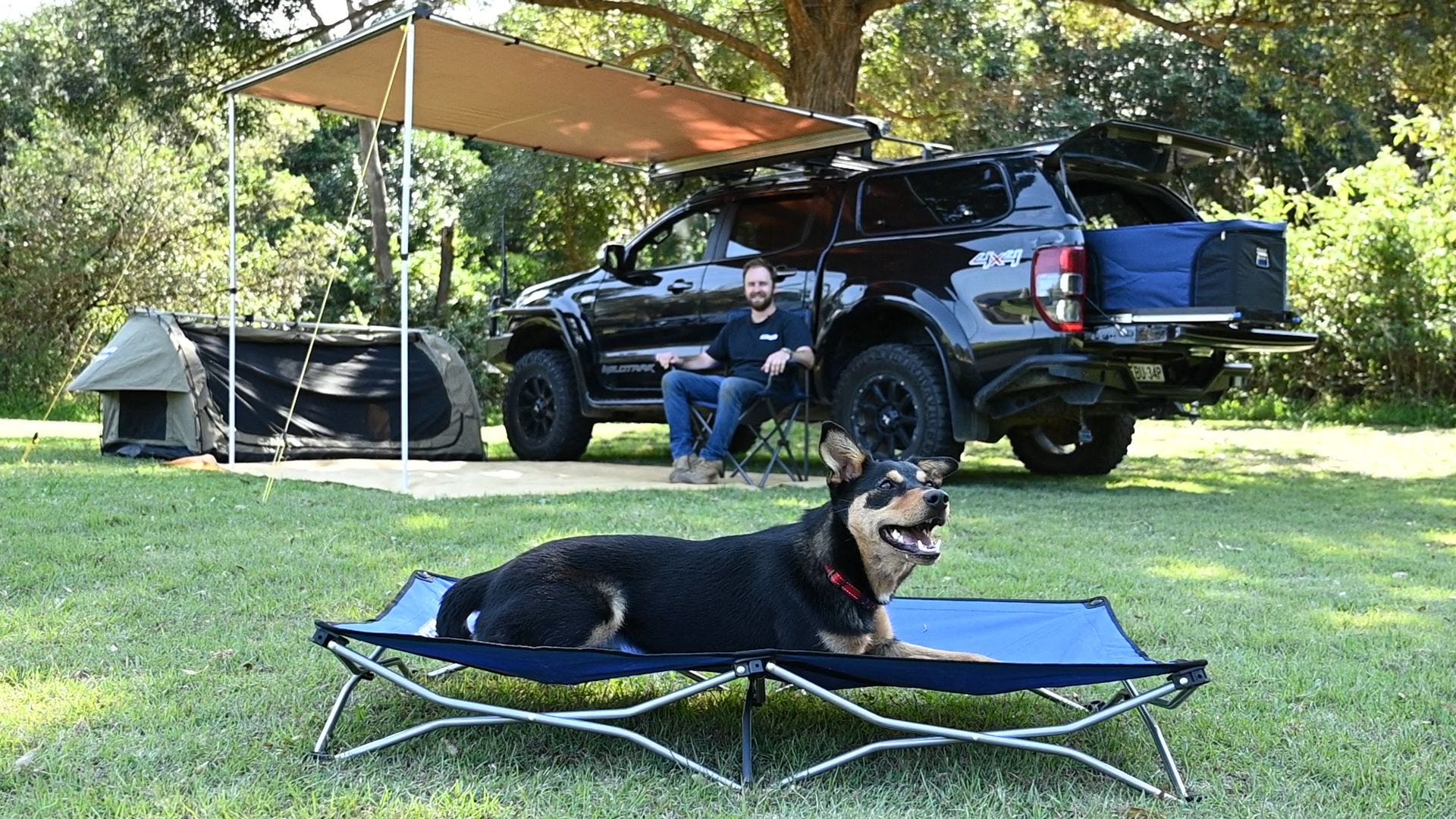 Folding dog bed for camping 2025