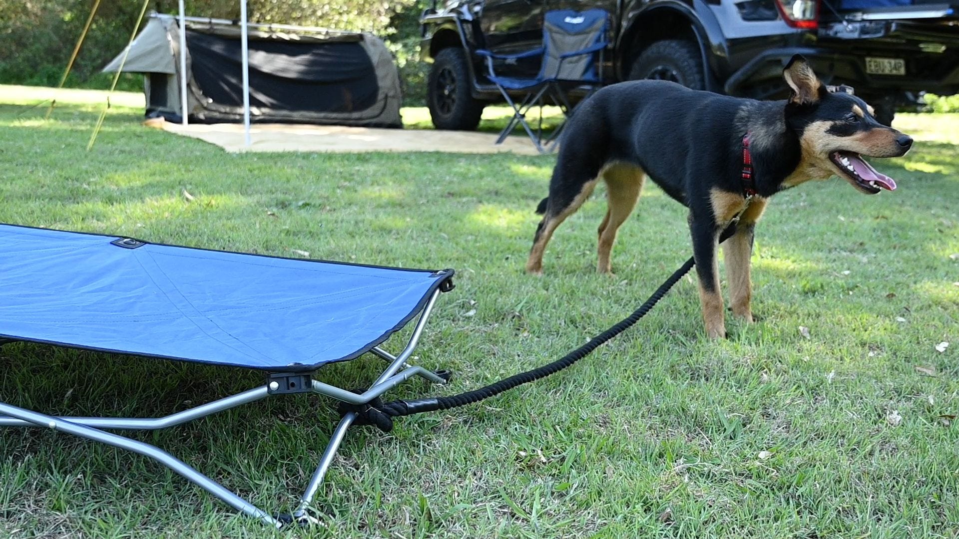 Adventure kings hotsell camping stretcher bed